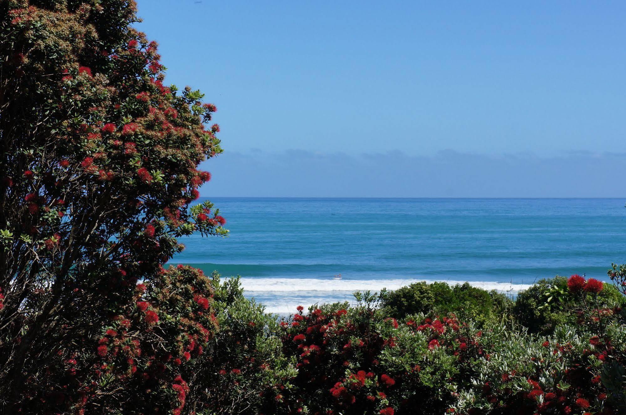 Fitzroy Beach Holiday Park Ню Плимут Екстериор снимка