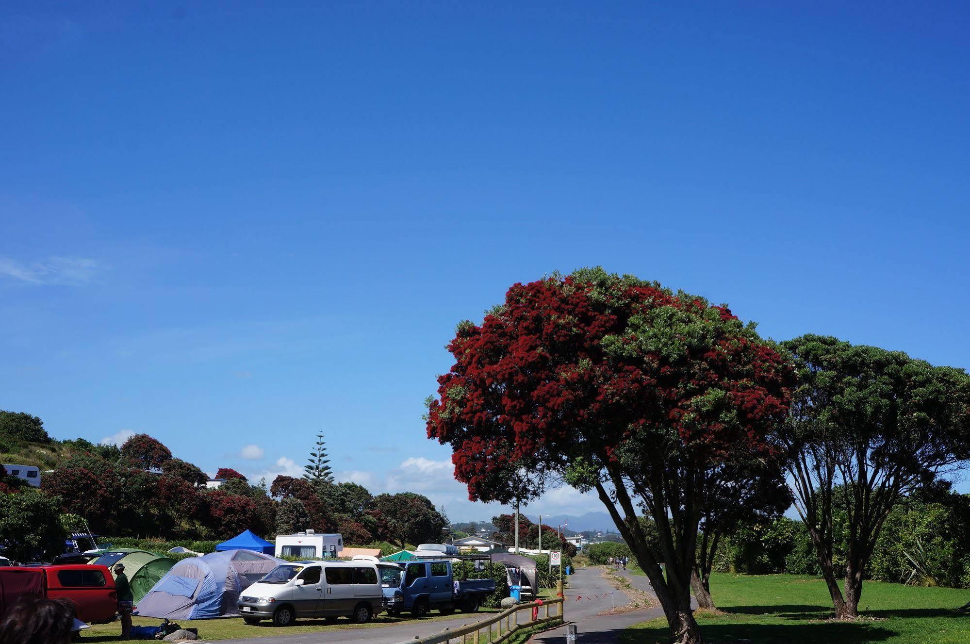 Fitzroy Beach Holiday Park Ню Плимут Екстериор снимка